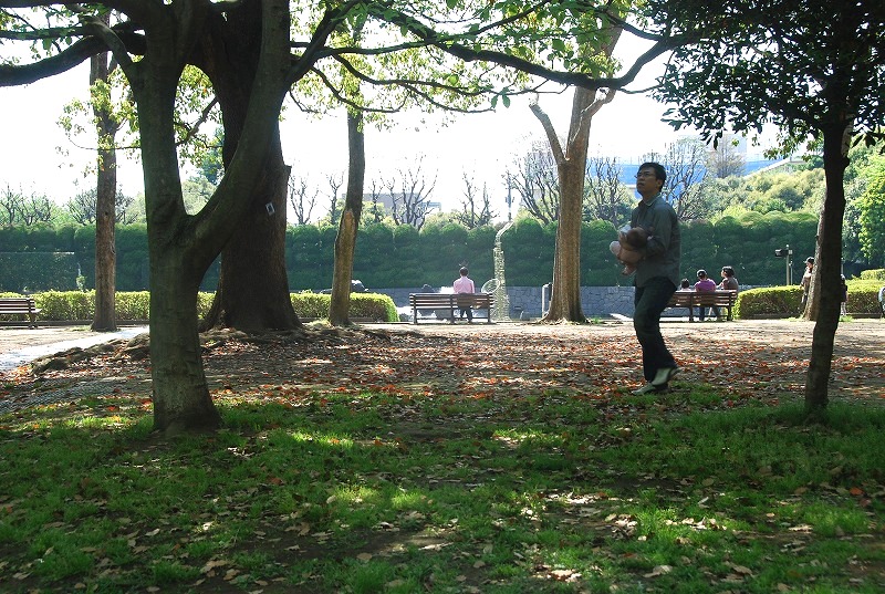 北浦和公園の初夏_c0187781_15343271.jpg