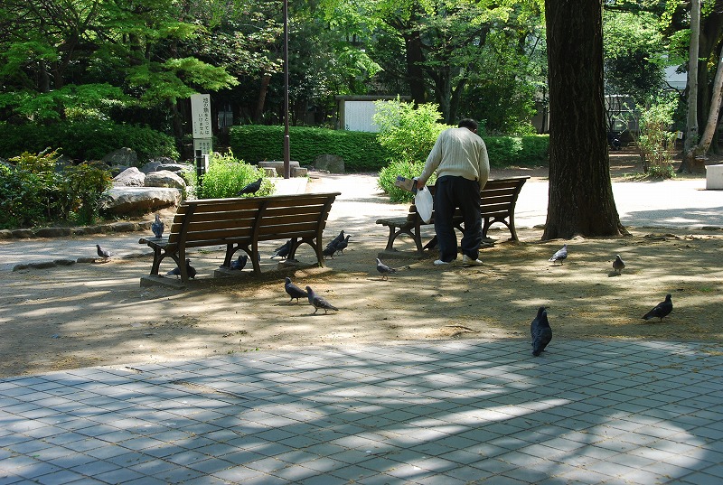 北浦和公園の初夏_c0187781_15422322.jpg