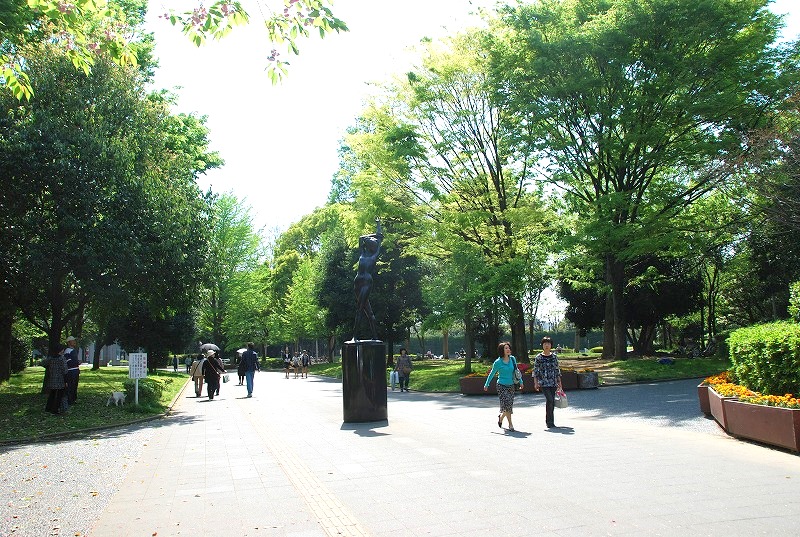 北浦和公園の初夏_c0187781_1593729.jpg