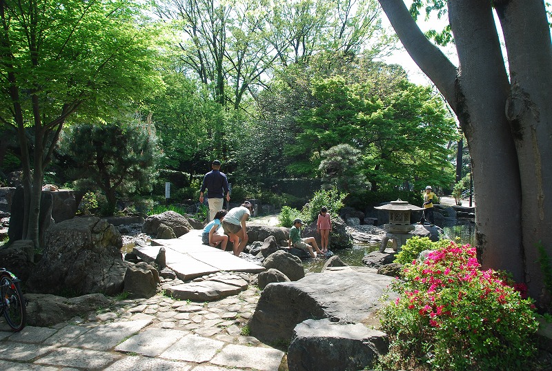 北浦和公園の初夏_c0187781_1612131.jpg
