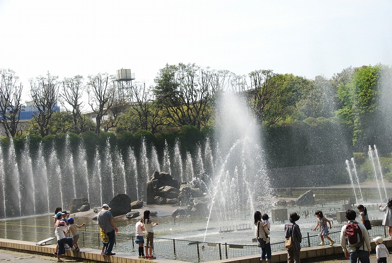 北浦和公園の初夏_c0187781_16153632.jpg