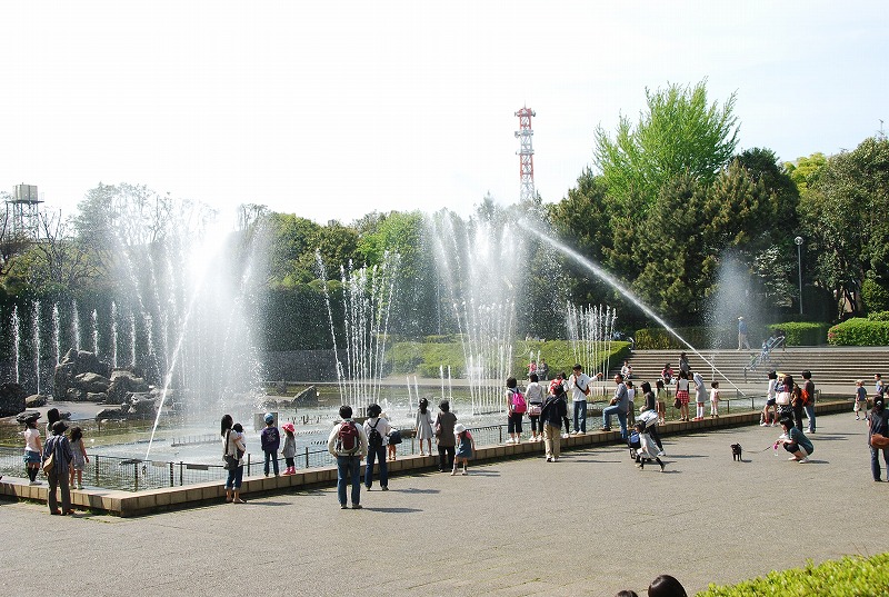 北浦和公園の初夏_c0187781_16173392.jpg