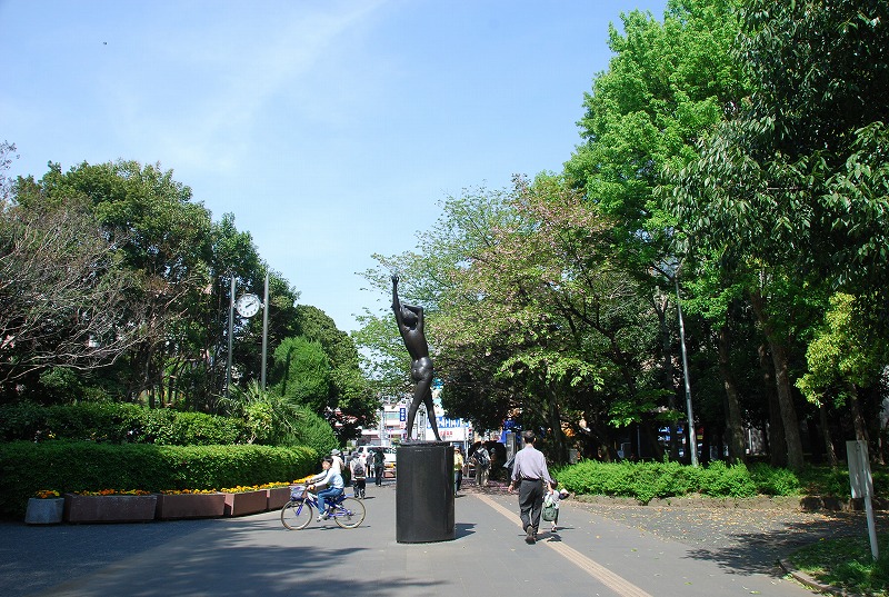 北浦和公園の初夏_c0187781_16184273.jpg