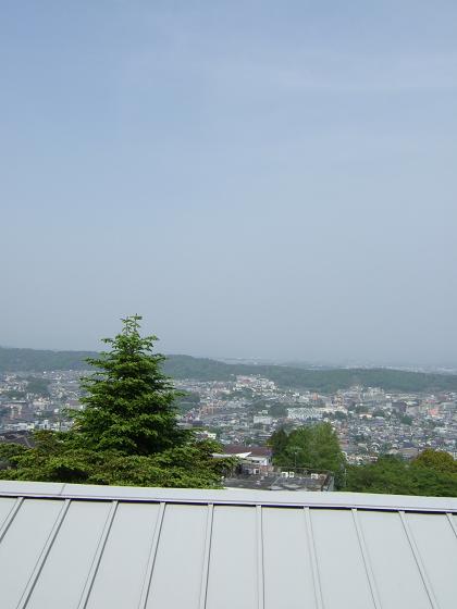 f0167281_184696.jpg