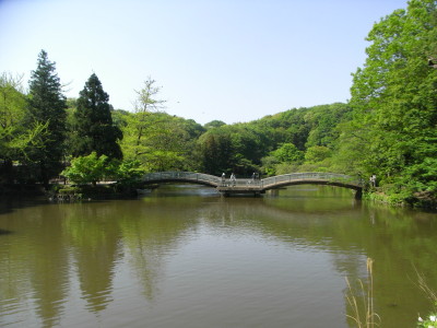 c0105786_023075.jpg