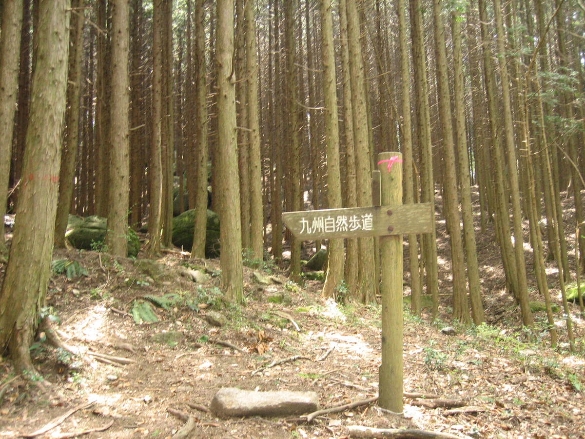 a0149488_2261438.jpg