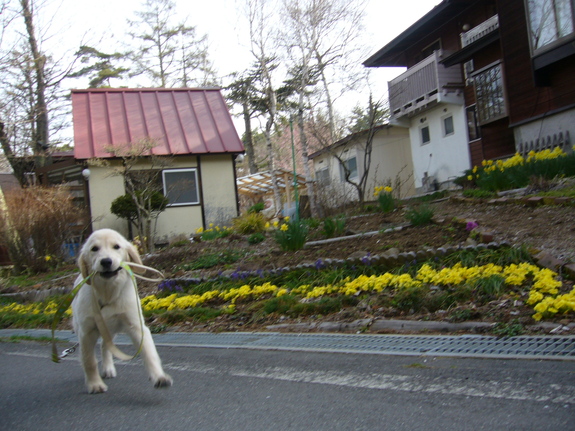c0085188_8154175.jpg