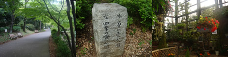 公園がたくさん (練馬区)_d0132289_15163732.jpg