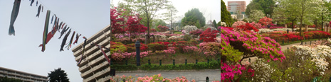 公園がたくさん (練馬区)_d0132289_15245424.jpg