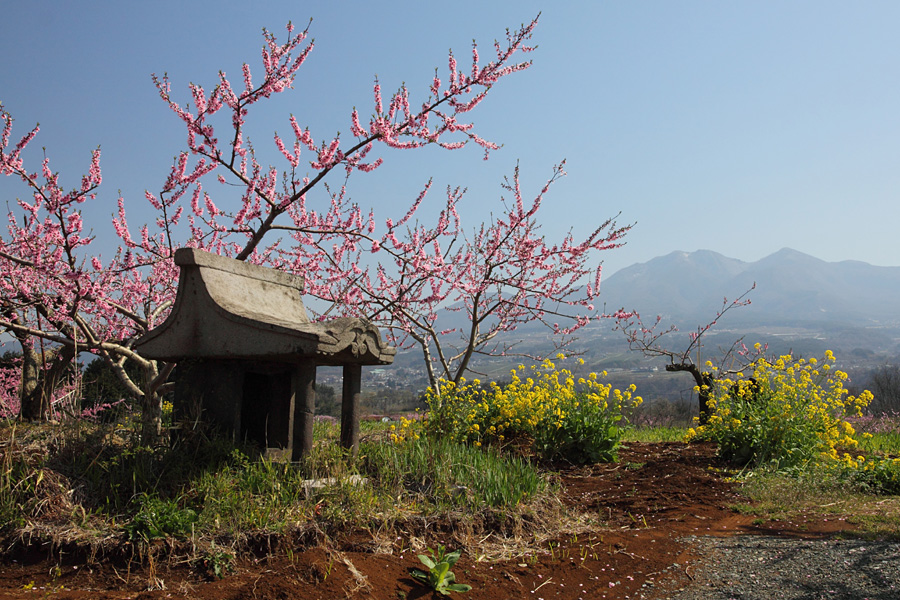 10.04.18：同僚と行く小淵沢～韮崎、桜、桃、そして甲斐駒３_c0007190_2155142.jpg