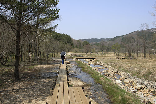 霧ヶ谷湿原を歩く_c0038290_23134356.jpg