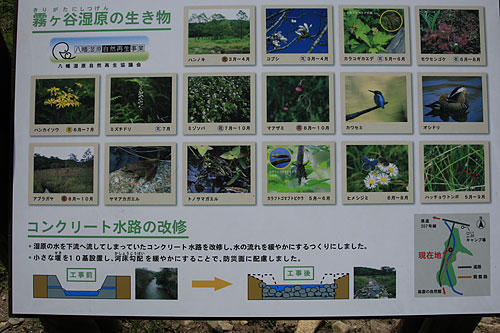 c0038290_23143549.jpg