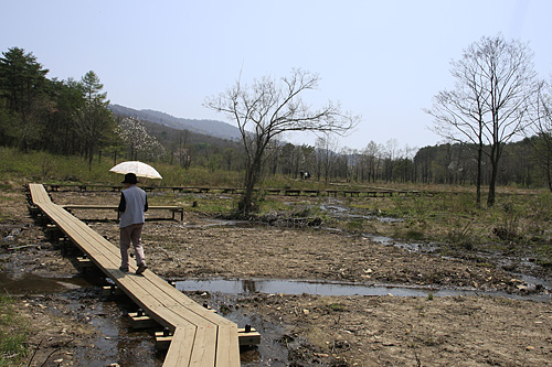 霧ヶ谷湿原を歩く_c0038290_23151085.jpg