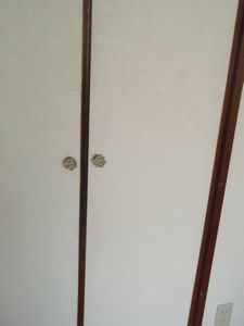 f0172093_1343377.jpg
