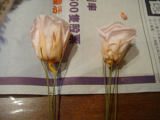 e0155496_2161987.jpg