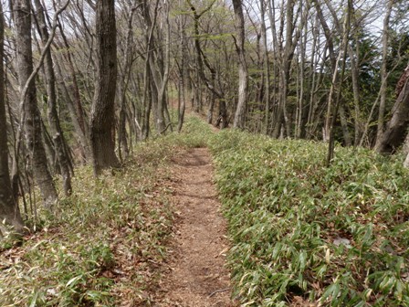 御岳山~大岳山トレイルラン・レポ_d0122797_23355875.jpg