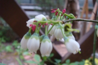 b0128101_1045738.jpg