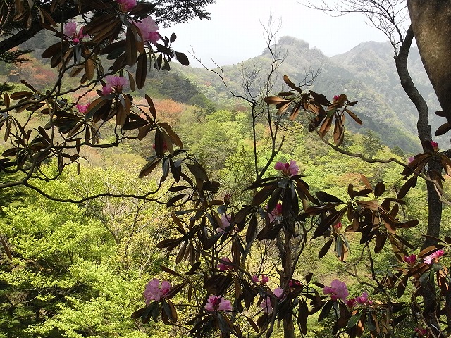 f0187402_2020365.jpg