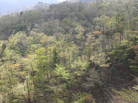 f0187402_20213973.jpg