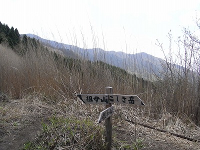 f0187402_20214734.jpg