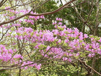 f0187402_2021499.jpg