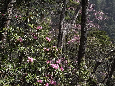f0187402_20534411.jpg