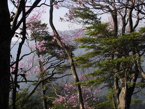 f0187402_2053926.jpg