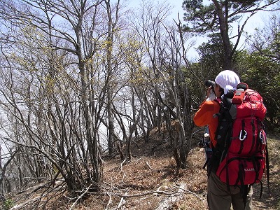 f0187402_20544074.jpg