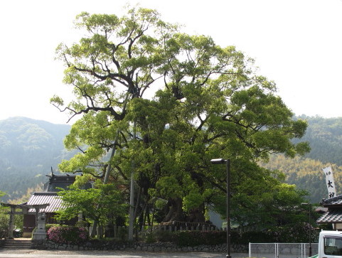 c0036203_18542188.jpg