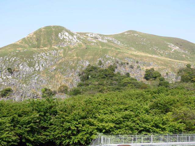 c0036203_191175.jpg
