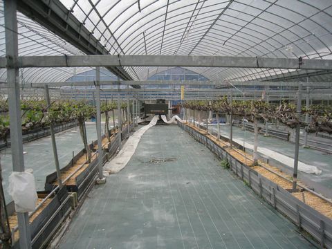 d0116205_21365912.jpg