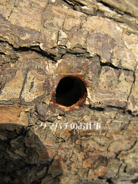 e0065906_721122.jpg