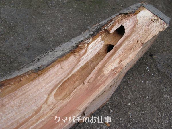 e0065906_7221440.jpg