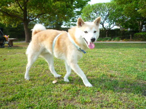 e0131506_2333361.jpg
