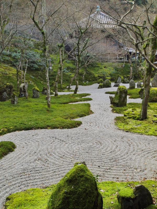 梅と巨木の大宰府 2009 その11：神護山 光明禅寺 一滴海の庭_d0087407_1113258.jpg