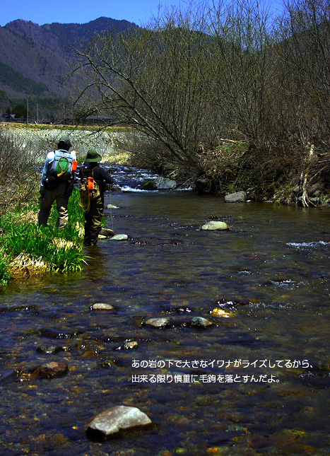 a0141808_20552239.jpg