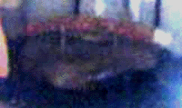 e0103408_12413979.gif