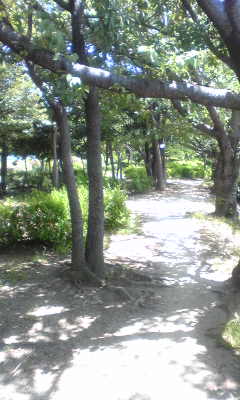 c0180209_2129523.jpg