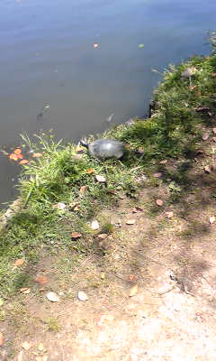 c0180209_21295377.jpg