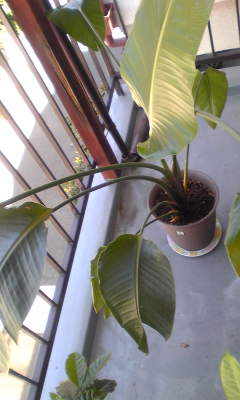 c0180209_21325642.jpg