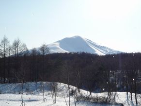 e0016412_2392970.jpg