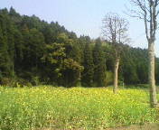 c0113713_20285232.jpg