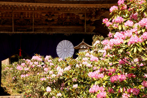 雲が畑　志明院 山寺2_e0048413_2292841.jpg