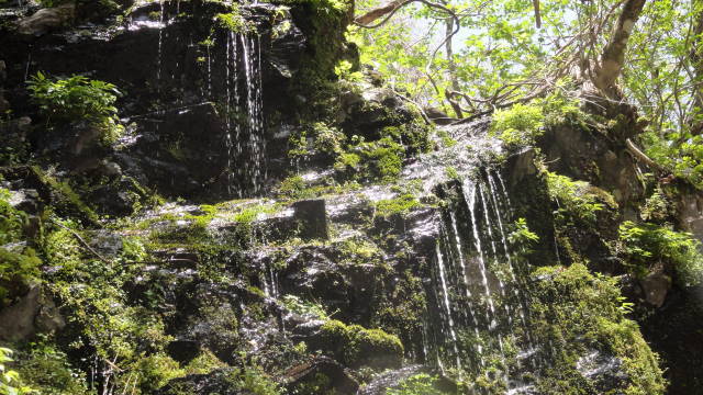 f0233414_20594130.jpg