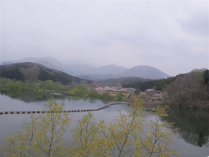 a0127015_19321021.jpg