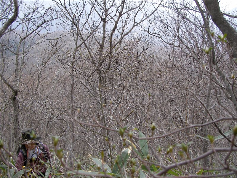 a0127015_1934454.jpg