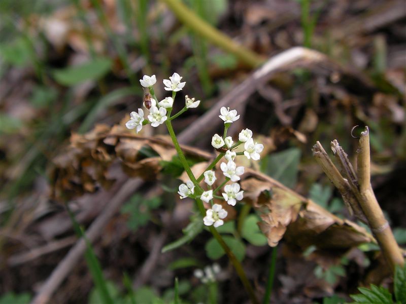 a0127015_194116.jpg