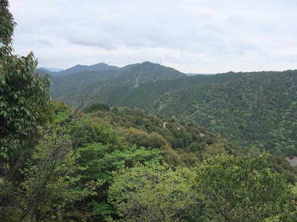 d0143615_1650163.jpg