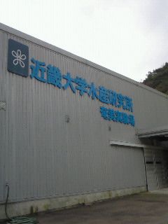 a0128916_2264384.jpg