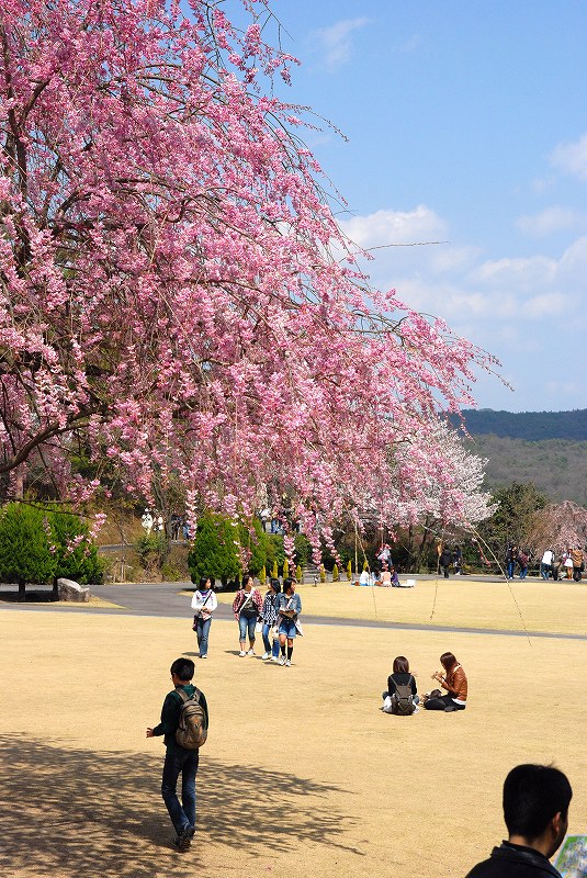 とことん楽しむ明治村　その九_a0096417_1950482.jpg